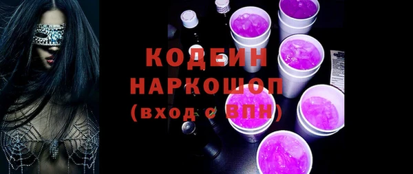 дживик Билибино