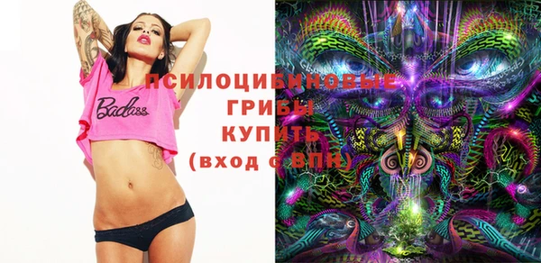ПСИЛОЦИБИНОВЫЕ ГРИБЫ Корсаков